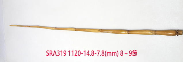sra319.JPG