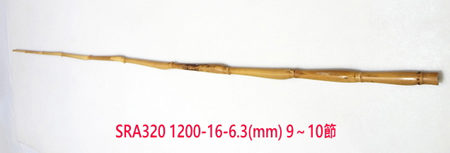 sra320.JPG