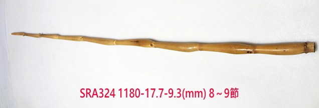 sra324.JPG