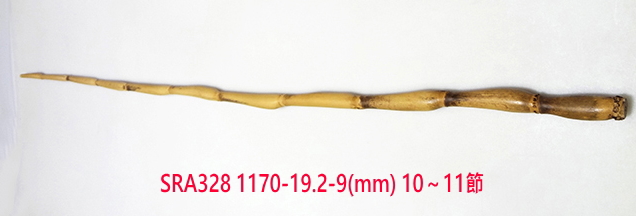 sra328.JPG