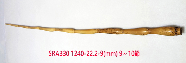 sra330.JPG