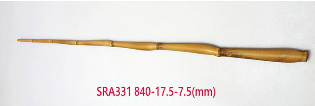 sra331.JPG