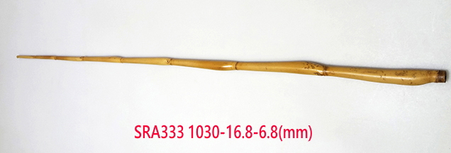 sra333.JPG