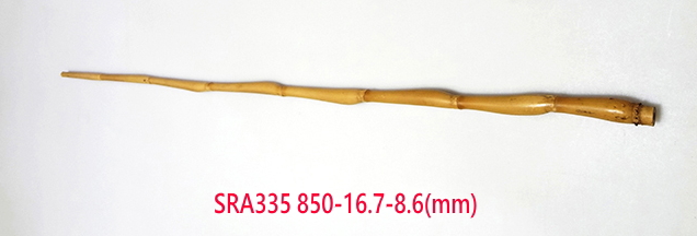 sra335.JPG