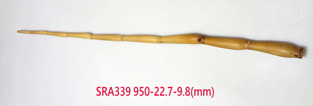 sra339.JPG