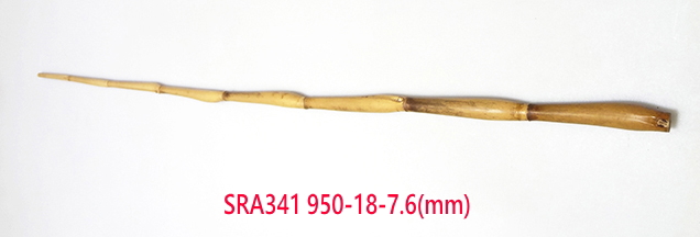 sra341.JPG