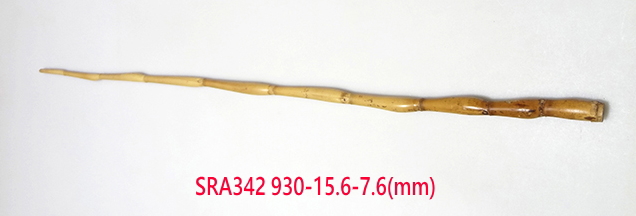 sra342.JPG