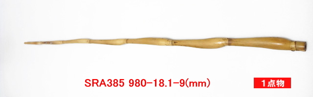 sra385.JPG