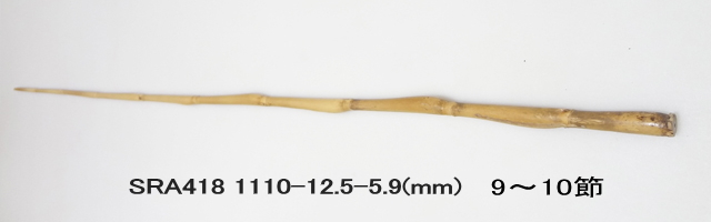 sra418.jpg