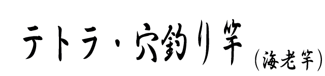 テトラ・穴釣り竿