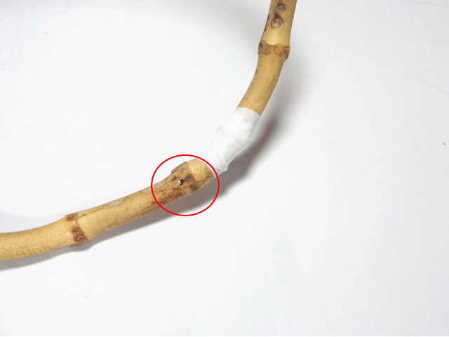 根竹玉枠