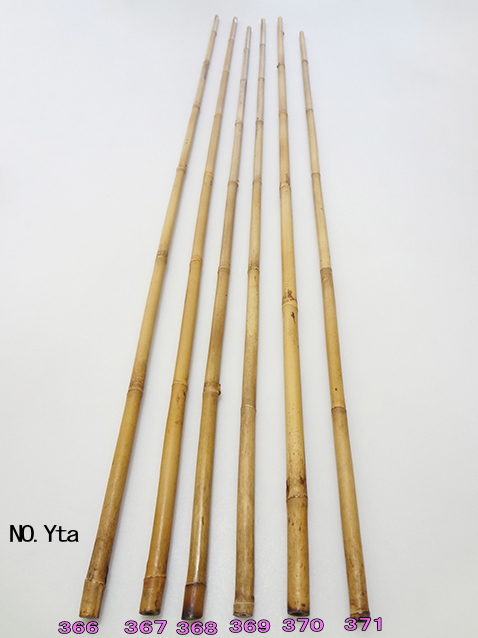 和竿　竹竿素材　根付き淡竹　タナゴ竿用 淡竹根付き釣竿製作用・和竿手元素材【各種サイズ】バージョン1
