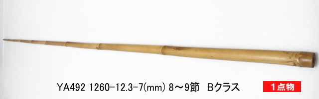 ya492.JPG