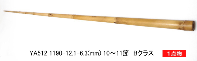 ya512.JPG