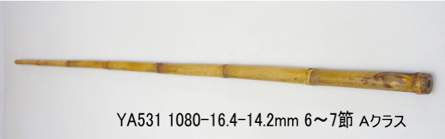 ya531.jpg