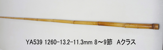 ya539.jpg