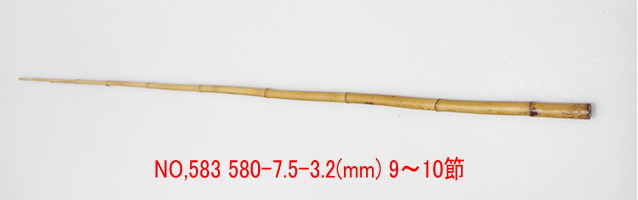 yta583.JPG