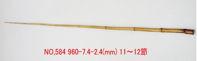 yta584.JPG