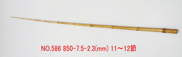 yta586.JPG