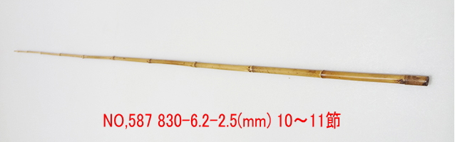yta587.JPG