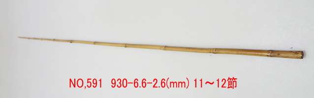 yta591.JPG