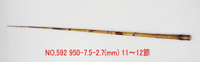 yta592.JPG