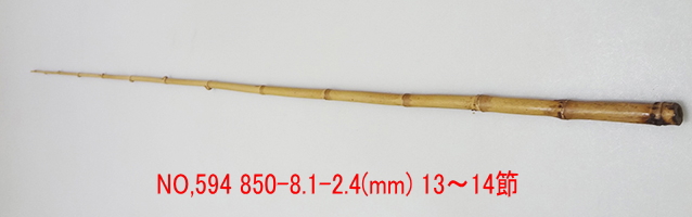 yta594.JPG