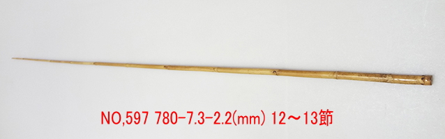 yta597.JPG