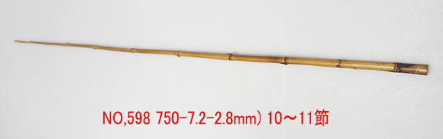 yta598.JPG