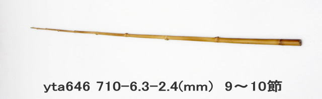 yta646.JPG