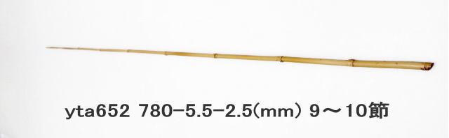 yta652.JPG