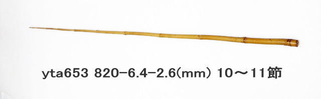 yta653.JPG
