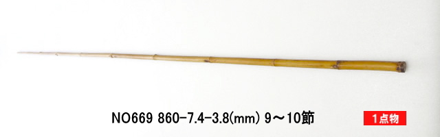yta669.JPG