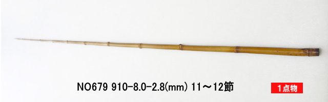 yta679.JPG