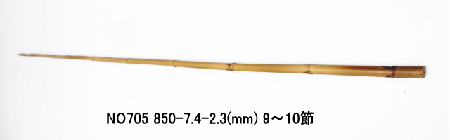 yta705.JPG