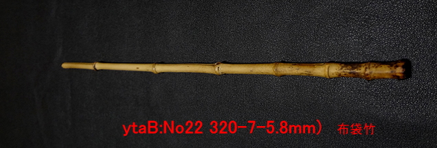 ytab22.JPG